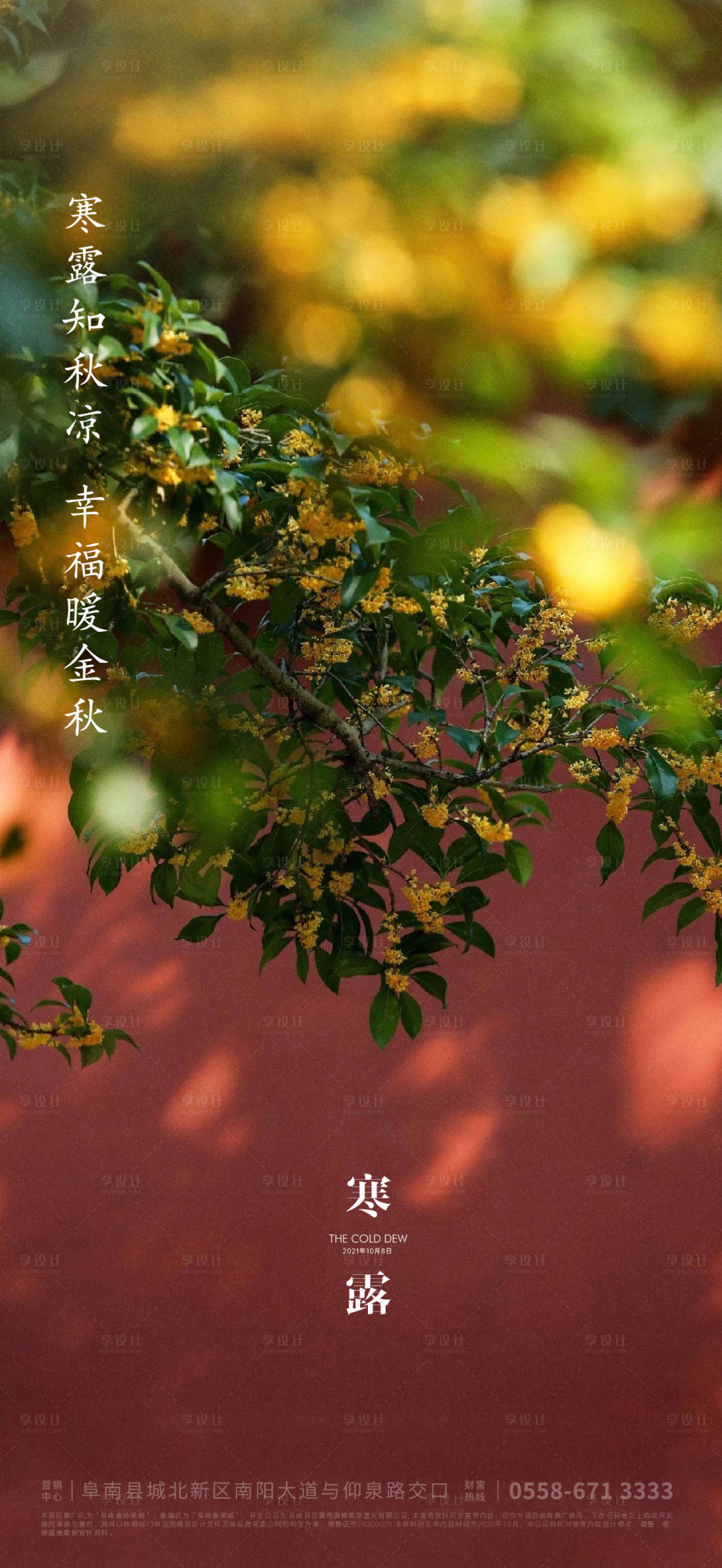 源文件下載【享設計】搜索編號：36780006549146462【寒露海報】