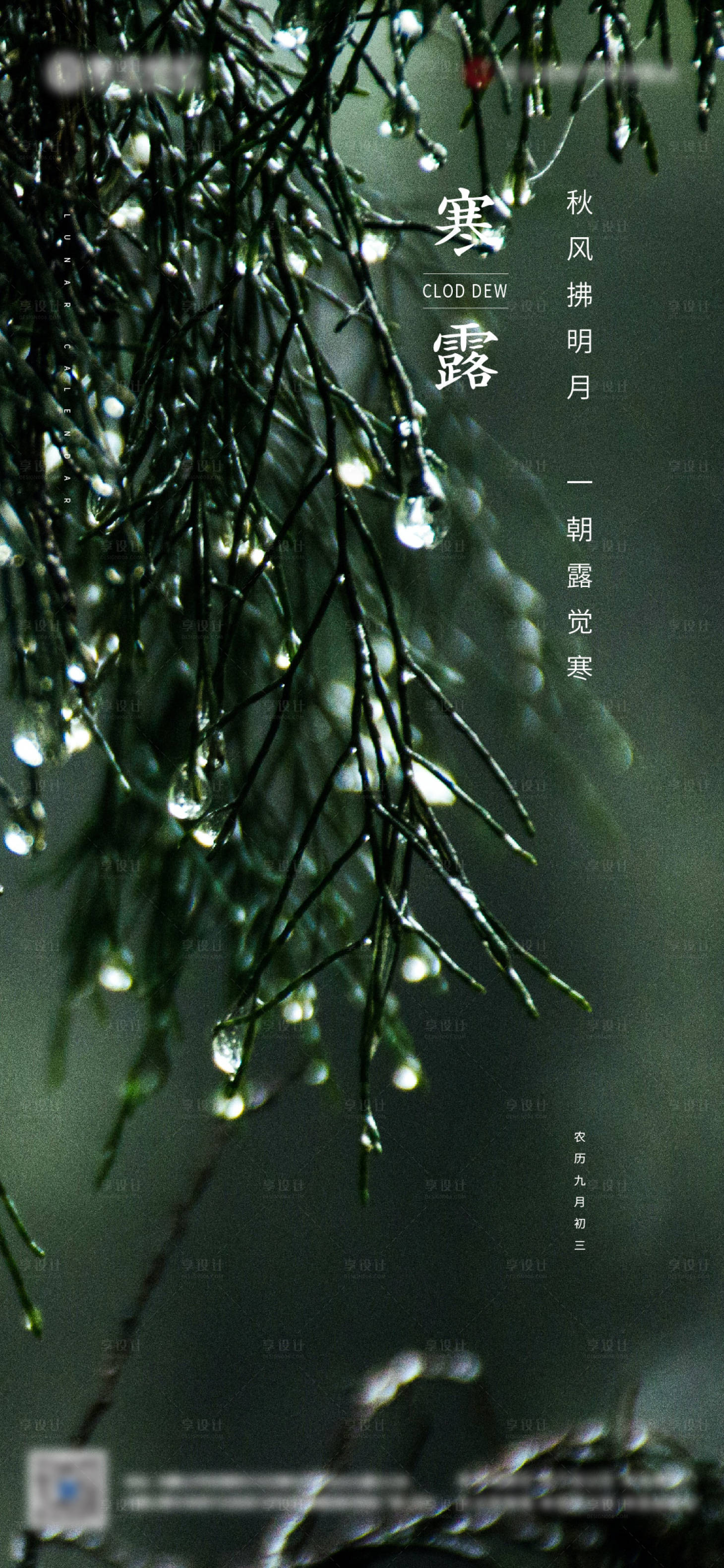 源文件下載【享設計】搜索編號：16400006683363843【寒露節氣海報】