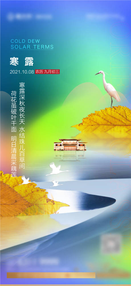 源文件下载【地产寒露海报】编号：94850006597655548