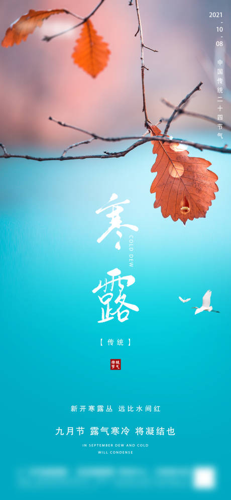 源文件下载【地产寒露节气海报】编号：62480006593432809