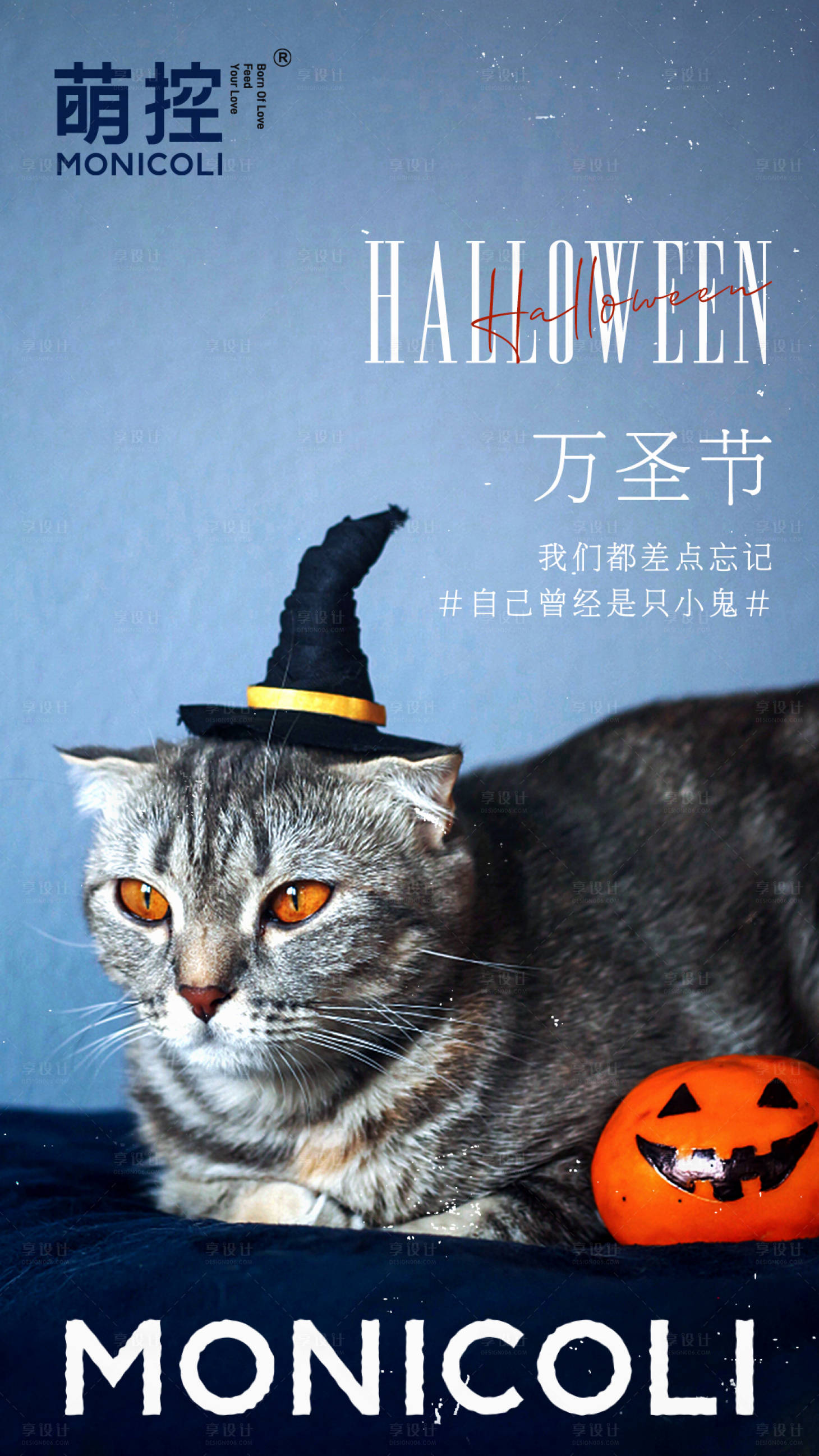 源文件下载【万圣节猫节气海报】编号：51040006917936954
