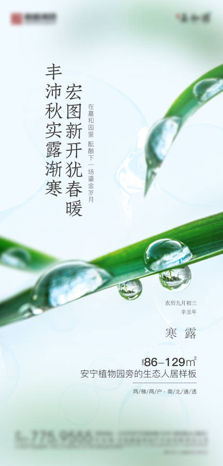 源文件下载【地产寒露价值微信图】编号：12500006765653254