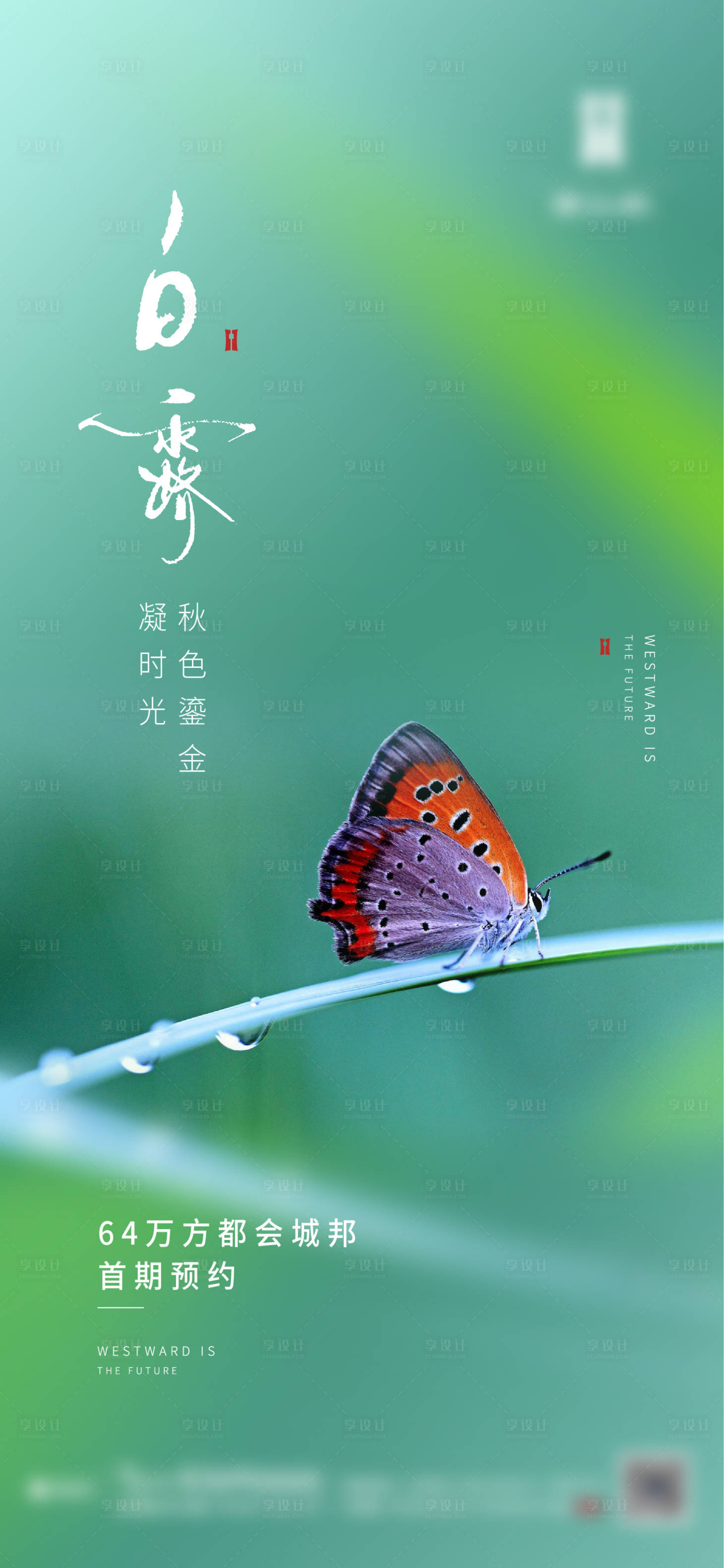 源文件下载【白露】编号：34420006806592148