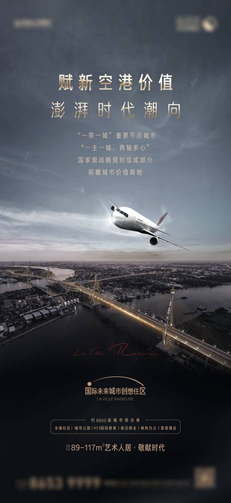 源文件下载【空港黑金价值点海报】编号：43130006973636934