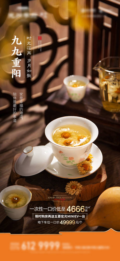 源文件下载【重阳节海报】编号：71560006738867556