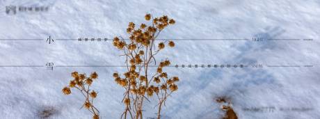 编号：20211025202105358【享设计】源文件下载-小雪节气移动端海报