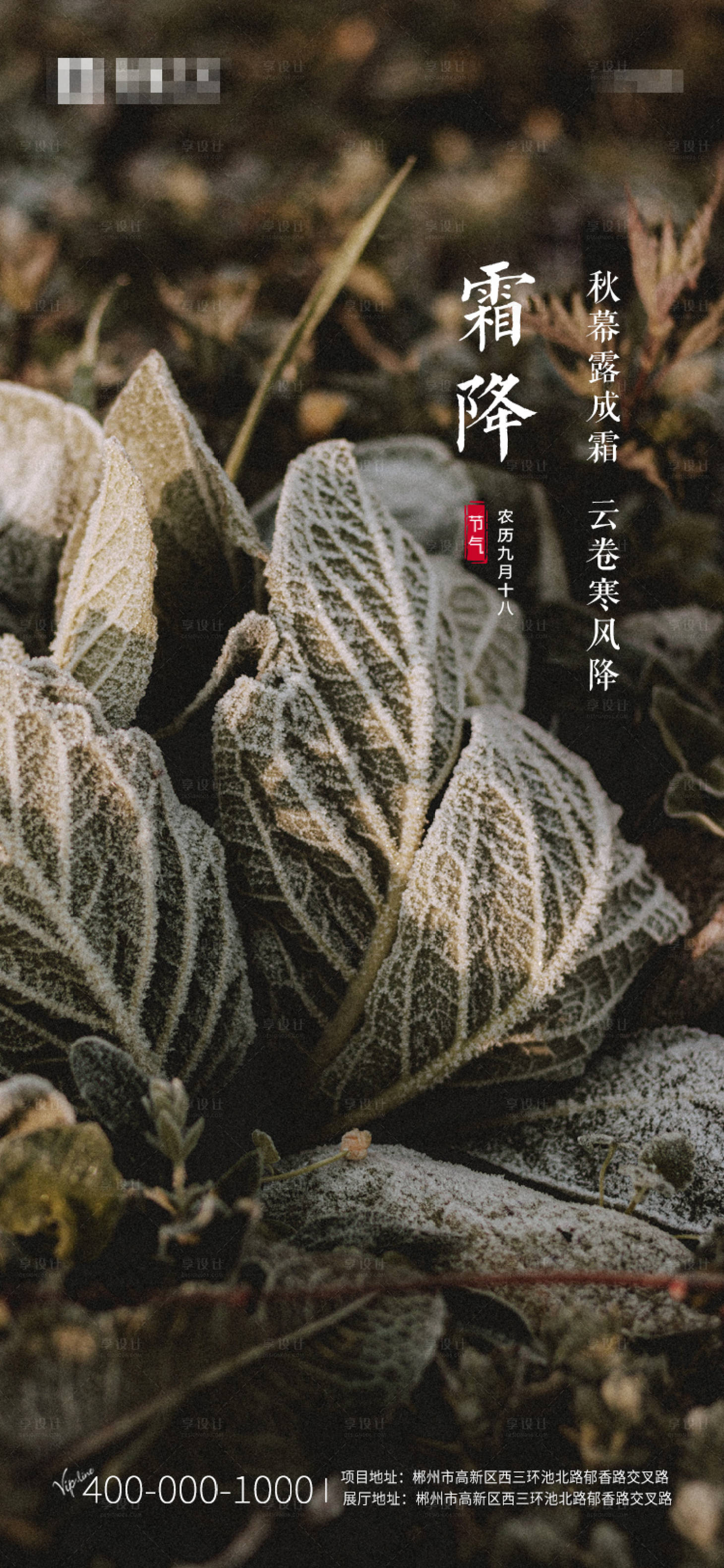 源文件下载【霜降节气海报】编号：81520006866691750