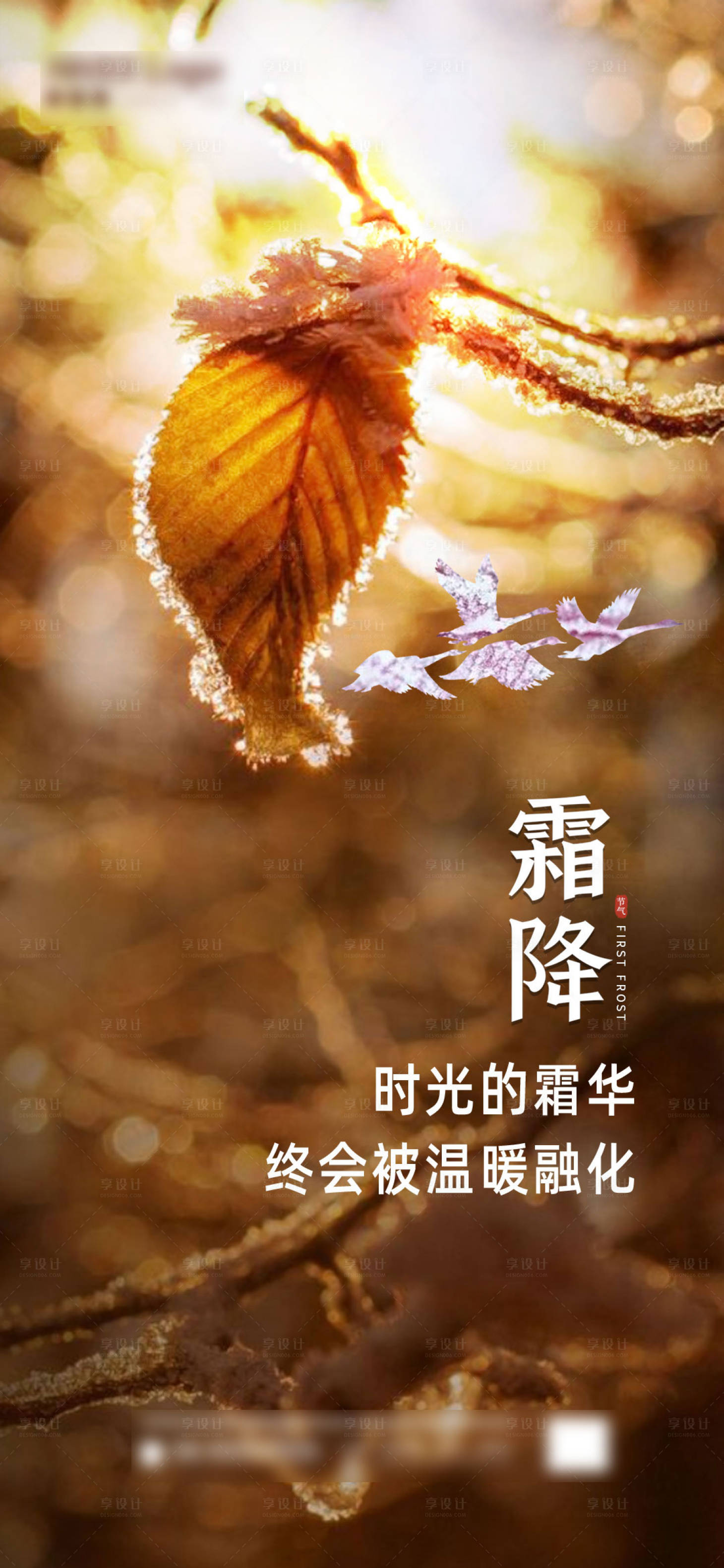 源文件下载【享设计】搜索编号：29870006825852658【霜降节气海报】