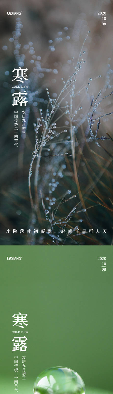 源文件下載【享設計】搜索編號：93110006706265808【寒露節氣系列海報】
