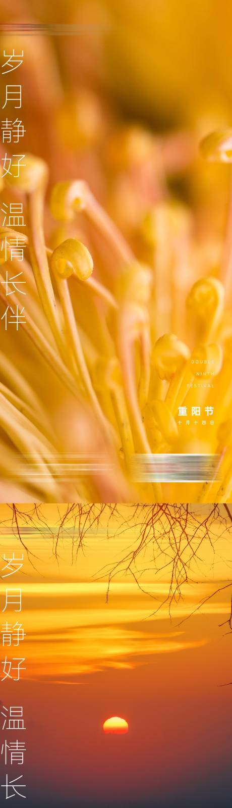 源文件下载【重阳节节日系列海报】编号：78880006779672827