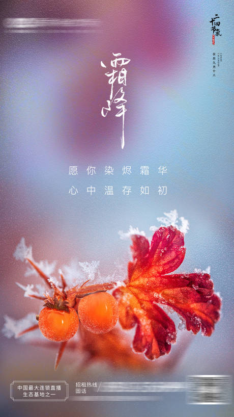 源文件下载【享设计】搜索编号：91930006951194483【霜降节气海报】