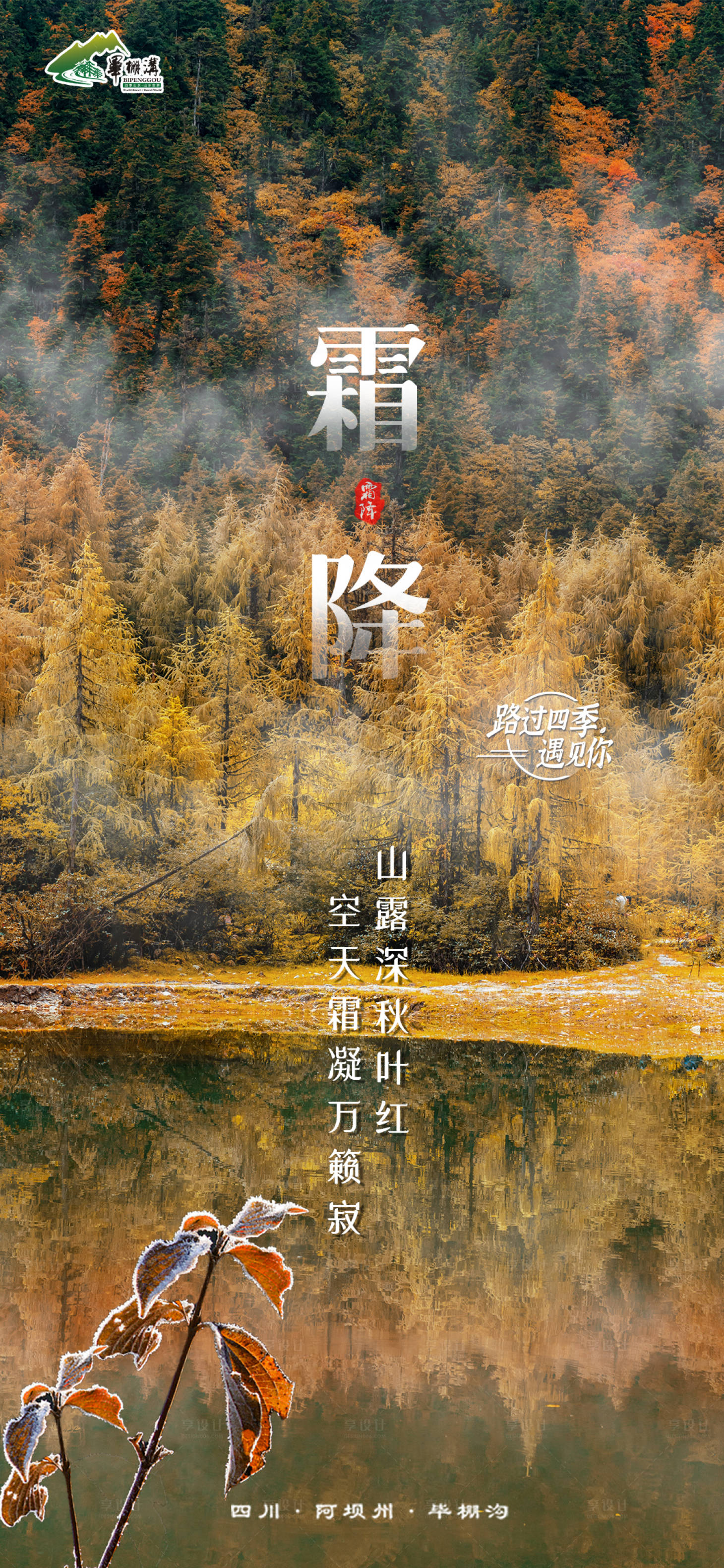 源文件下載【霜降節氣海報】編號：63480006797606801