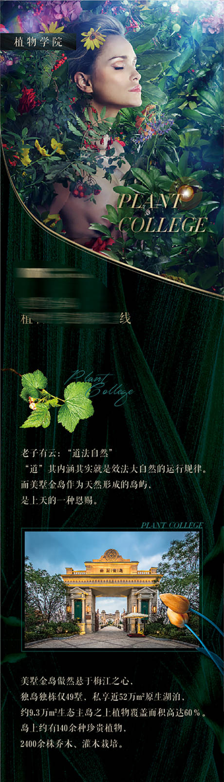 源文件下载【地产长图植物学说】编号：78530007007258704