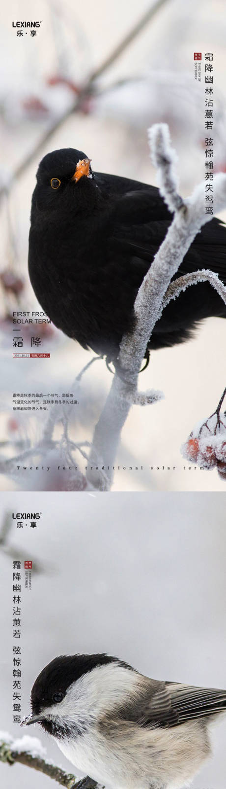 源文件下载【霜降节气系列海报】编号：47440006862229122