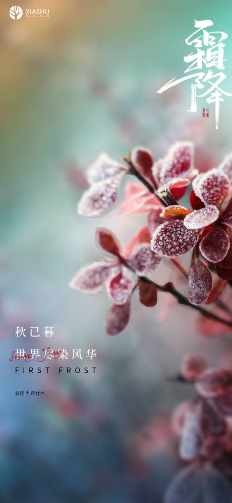 源文件下載【享設計】搜索編號：75020006929408909【霜降海報】
