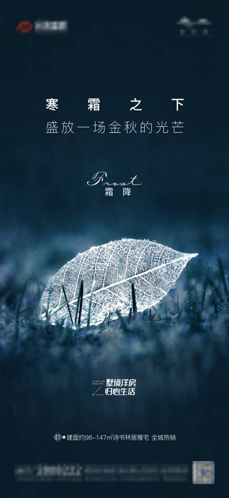 源文件下載【霜降節(jié)氣海報】編號：81590006842056431