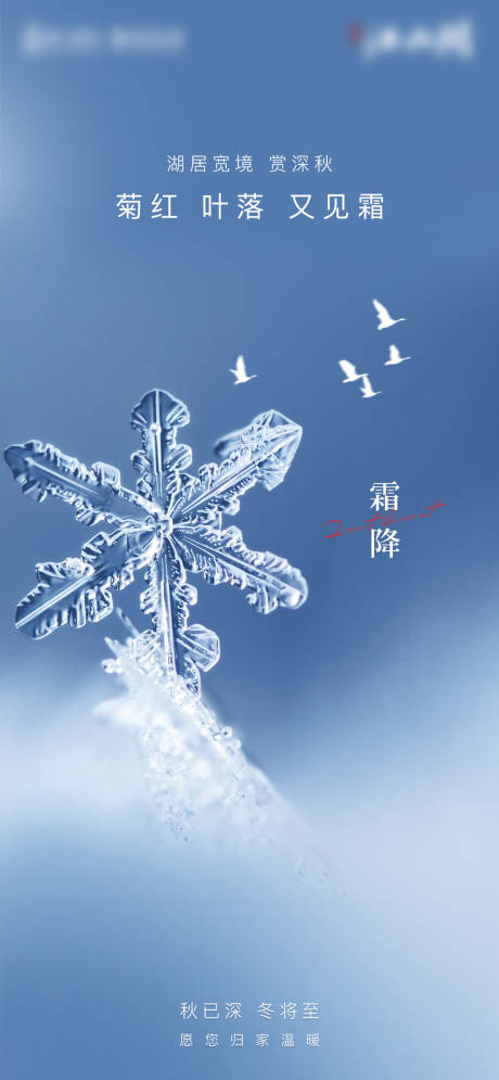 霜降节气海报-源文件【享设计】
