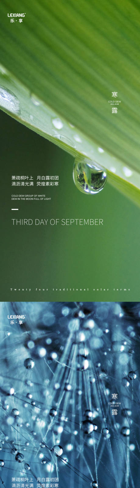 源文件下載【寒露節氣系列海報】編號：54340006769686235