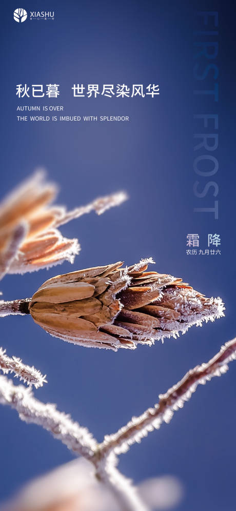 源文件下載【享設計】搜索編號：12140006845057051【霜降節氣刷屏海報】