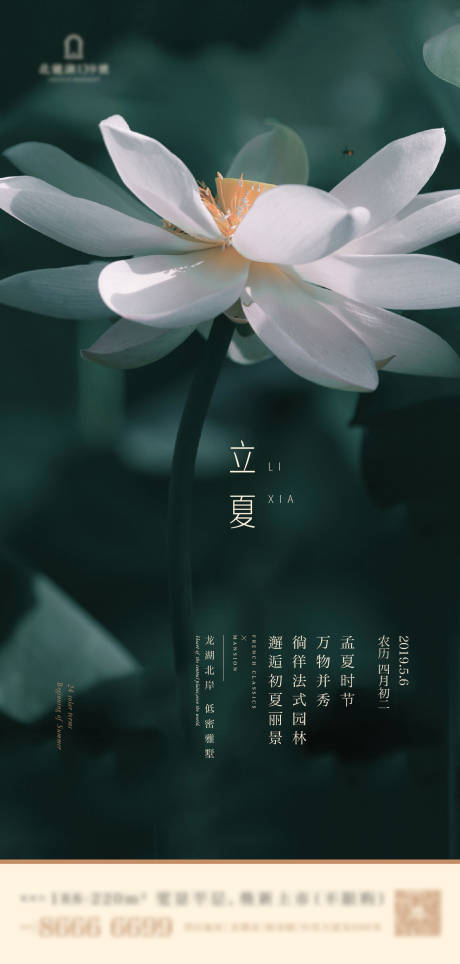 源文件下载【立夏节气海报】编号：70040007034914844