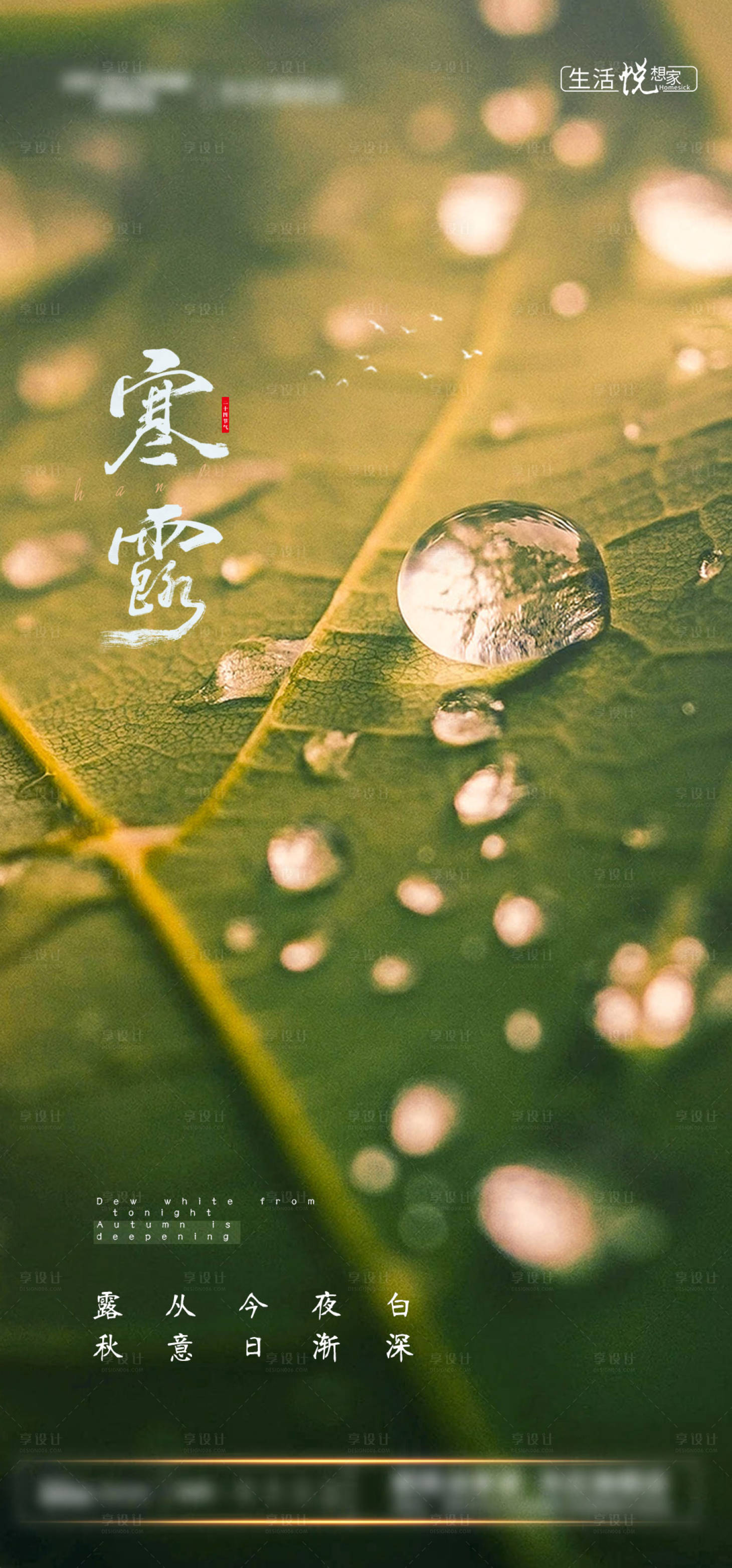源文件下载【寒露海报】编号：97010006715237923