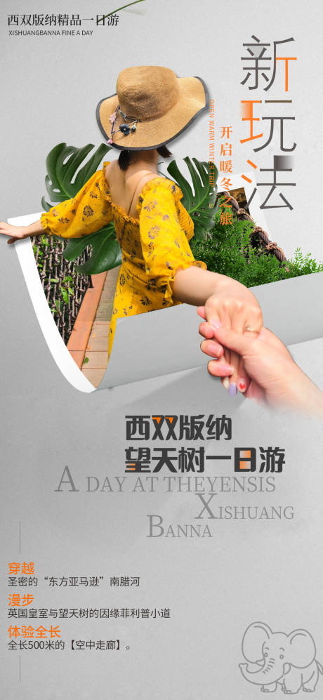 源文件下载【西双版纳一日游望天树】编号：32050006967251991