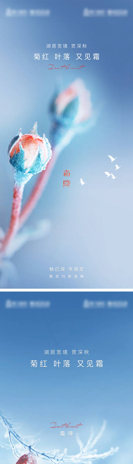 源文件下载【霜降节气系列海报】编号：90450006840101205