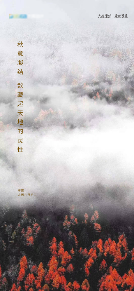 源文件下載【享設計】搜索編號：41480006724564987【寒露節氣海報】