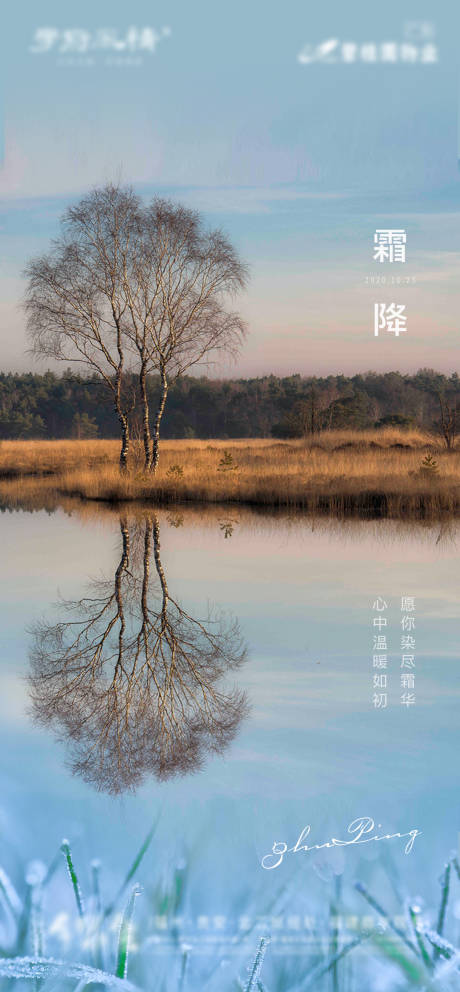 源文件下载【霜降节气海报】编号：94510006940266431