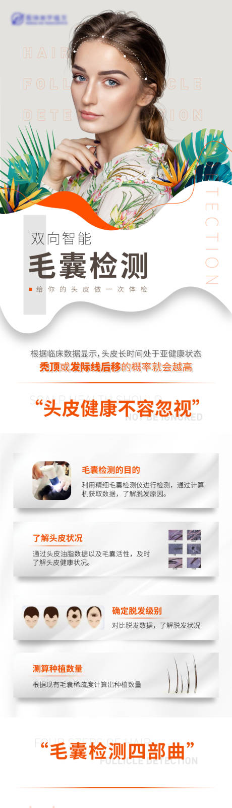 源文件下載【毛囊檢測電商詳情頁】編號：45370006955025491