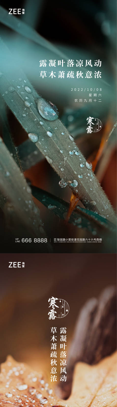 源文件下載【寒露開屏海報(bào)刷屏】編號(hào)：65450006953769135