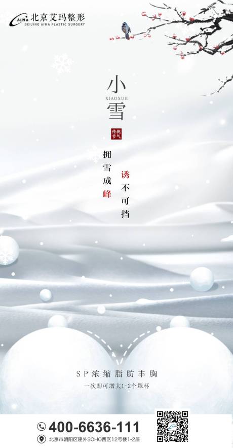 源文件下载【小雪医美节气创意海报】编号：20211029141712312