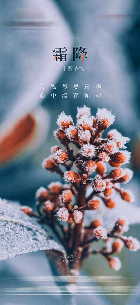 源文件下载【霜降节气海报】编号：59030006817103322