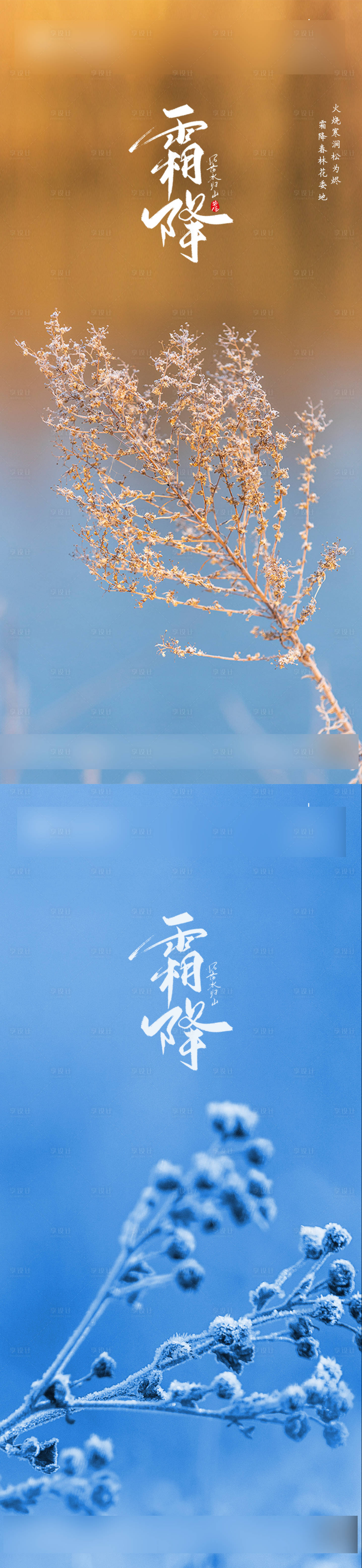 源文件下载【霜降节气系列海报】编号：44370006930614479