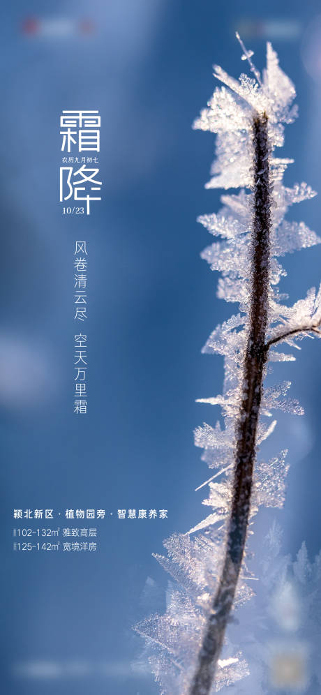 源文件下載【霜降海報】編號：37940006833072281