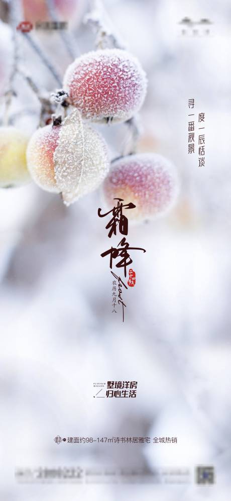 源文件下载【享设计】搜索编号：84130006842096164【霜降节气海报】
