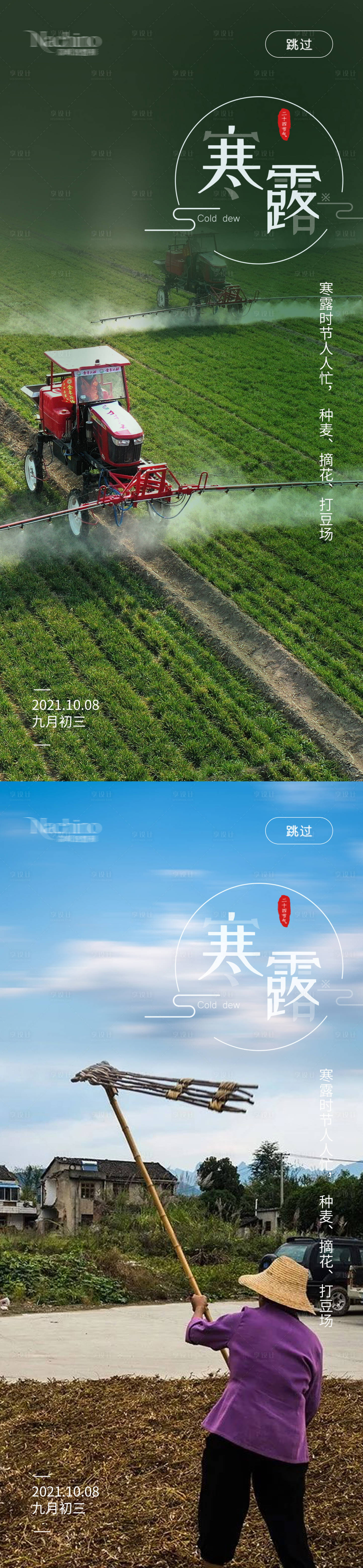 源文件下载【寒露 二十四节气海报】编号：17820006798715702