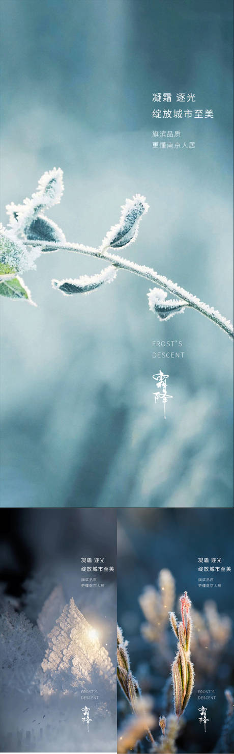 源文件下载【享设计】搜索编号：50110006765988257【霜降节气系列海报】