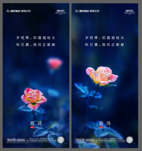 源文件下载【霜降】编号：20211019190711706