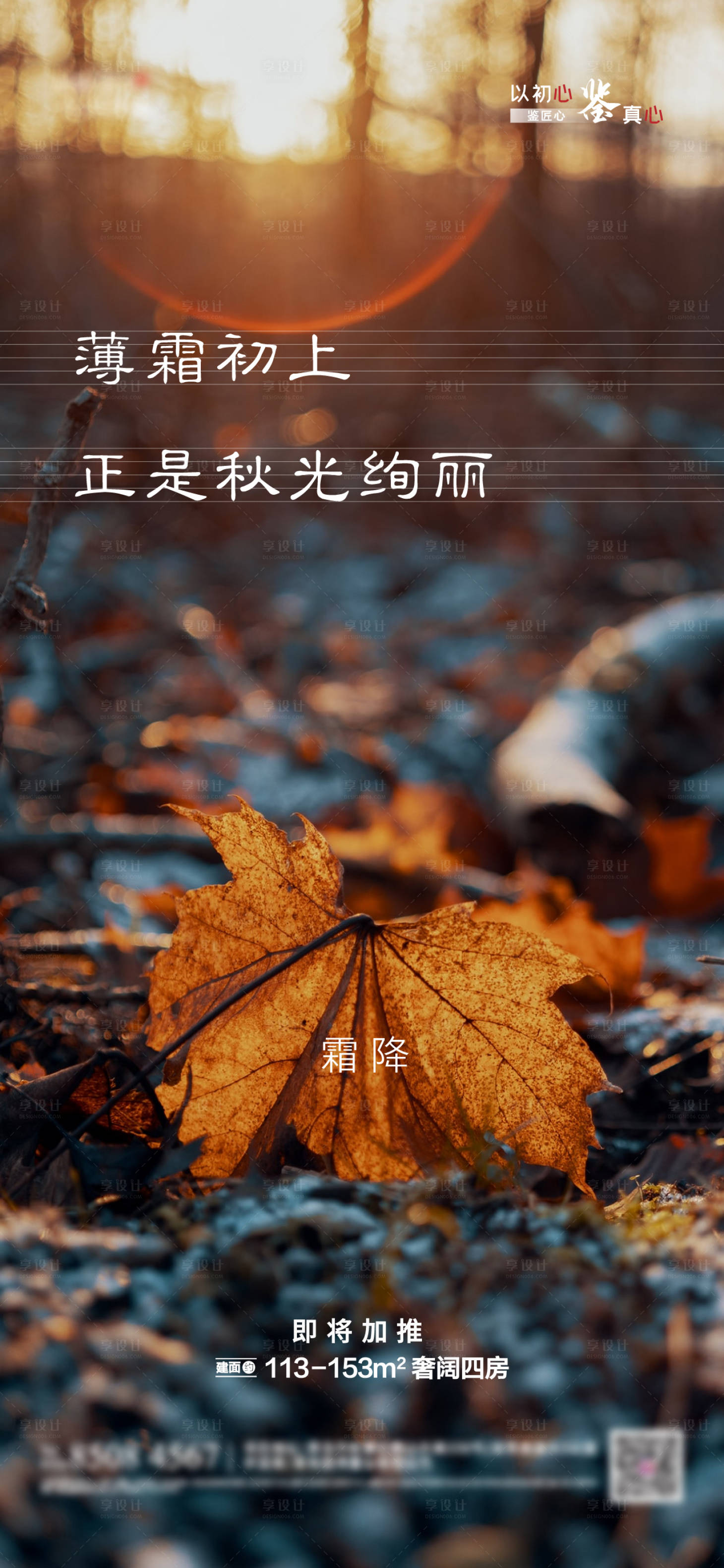源文件下载【霜降节气海报】编号：96950006917719430