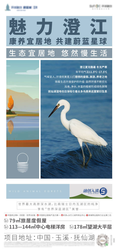 源文件下载【生物多样性海报】编号：78020007081041629