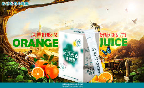 源文件下载【肠道好吸收乳酸菌海报】编号：97040007316076454