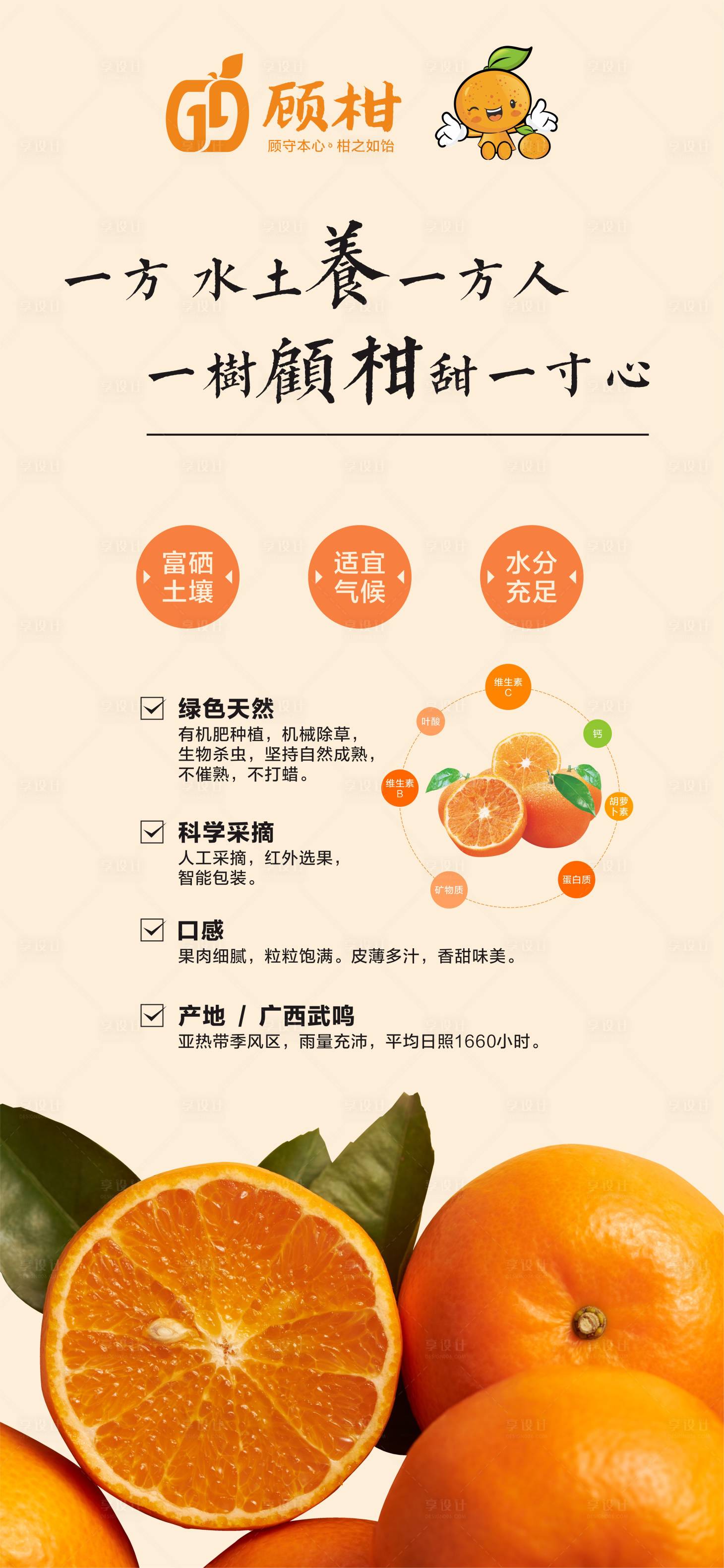 源文件下载【享设计】搜索编号：43780007296728907【柑桔宣传海报】