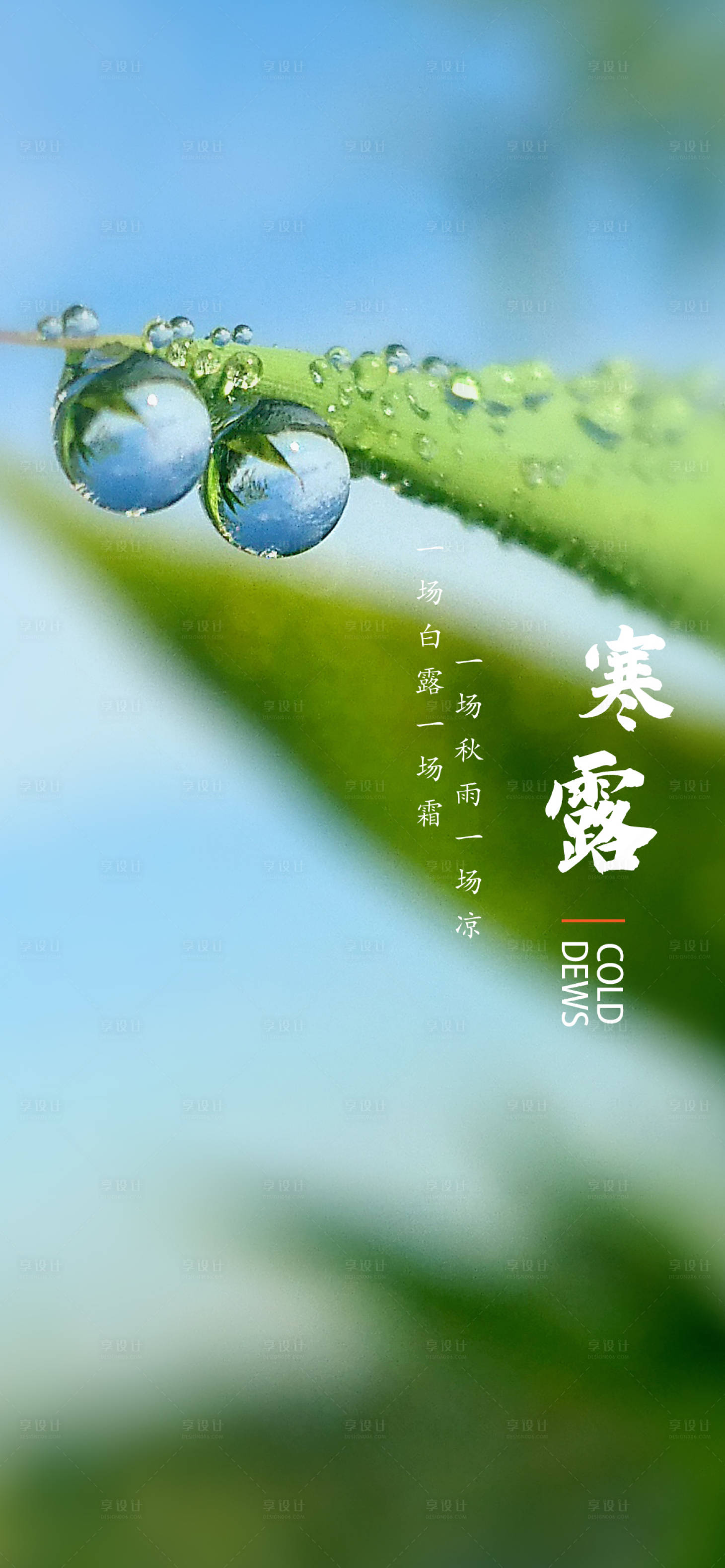 源文件下载【寒露节气海报】编号：20780007189853061
