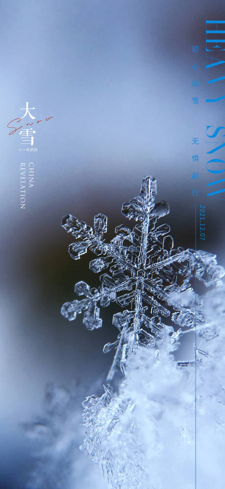 源文件下载【大雪节气海报】编号：56210007445454492