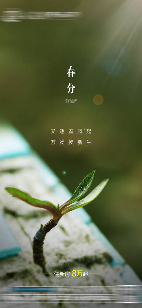 源文件下载【春分节气】编号：39110007424114141
