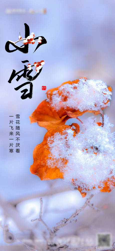 源文件下載【小雪節氣海報】編號：84150007258906191