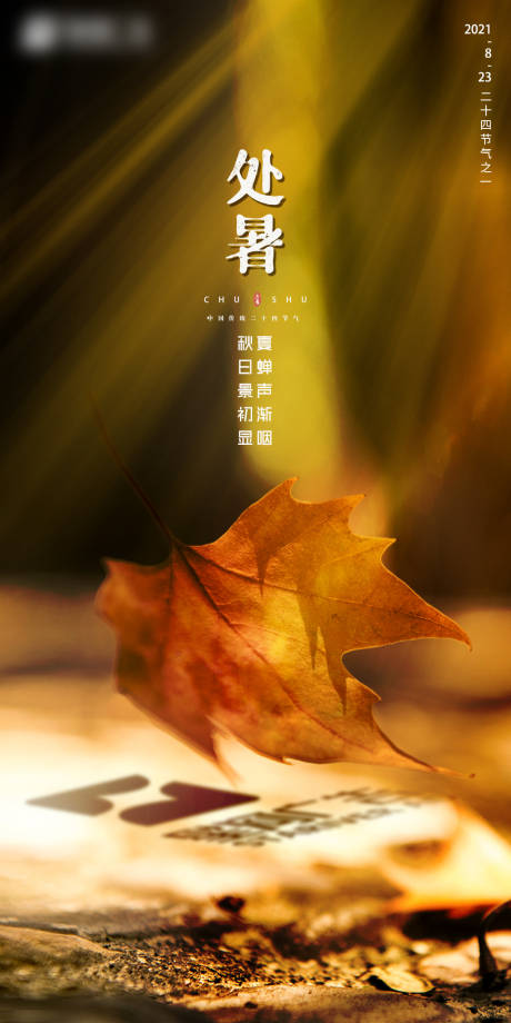 源文件下载【秋叶 】编号：21900007107632390