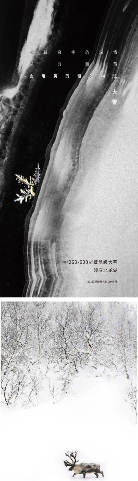 源文件下载【大雪 节日节气】编号：55860007407119440