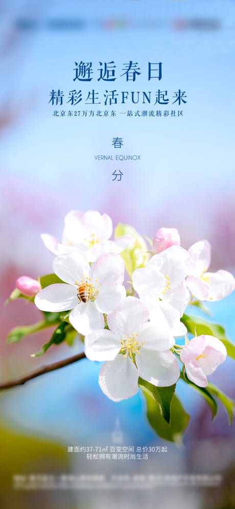 源文件下载【地产公寓春分春季花开微信朋友圈刷屏】编号：33470007310146806